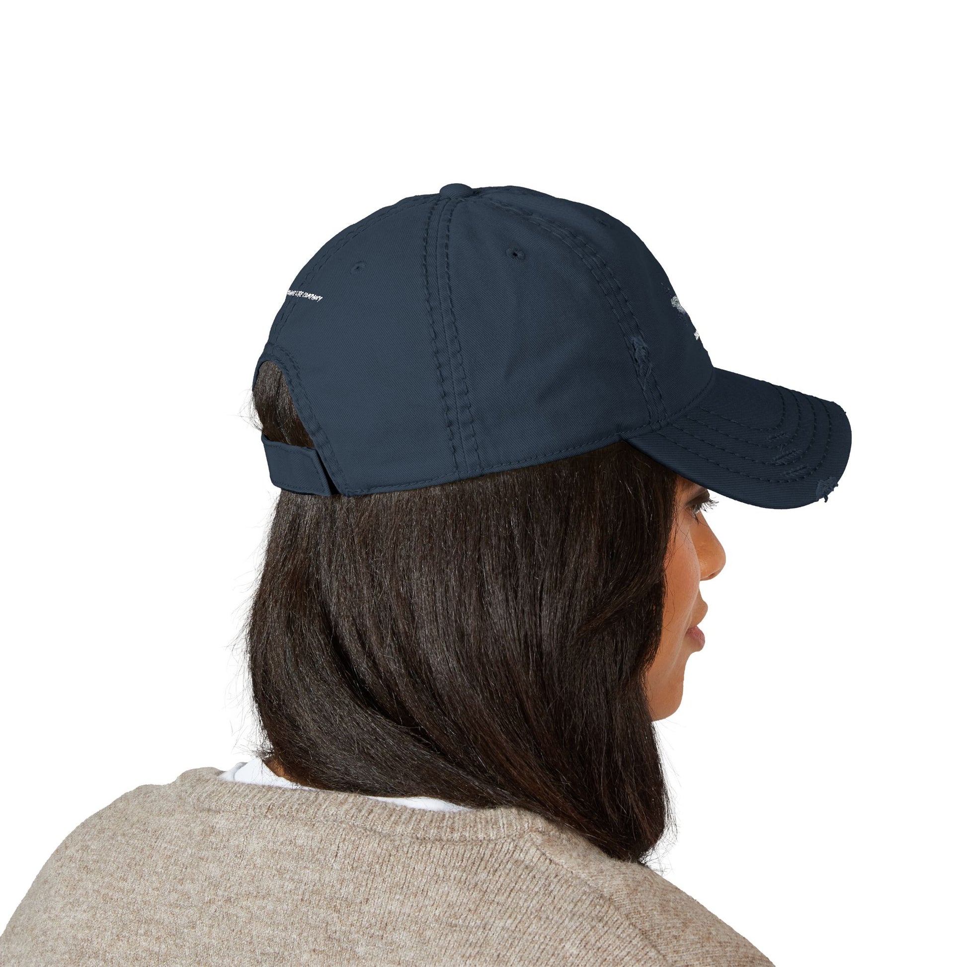 Embroidered Distressed Hat - P-51 Mustang Warbird